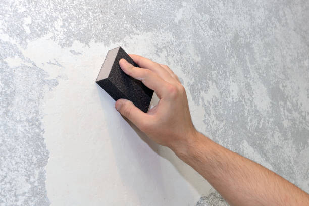 Best Emergency Mold Remediation  in National City, CA