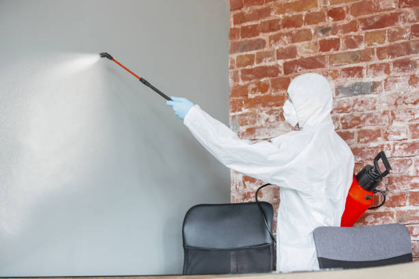 Mold Removal for HVAC Installations in National City, CA