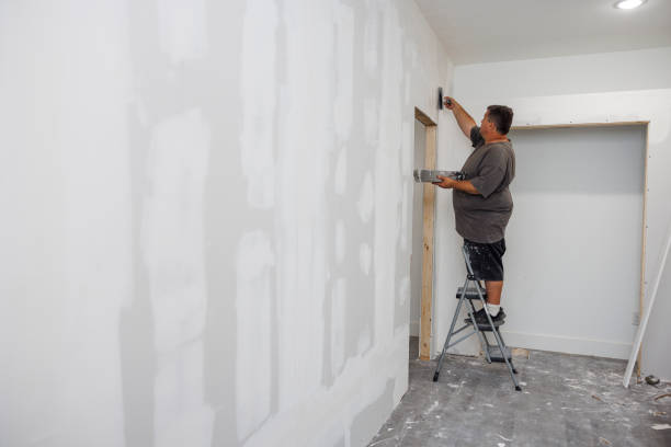 Biohazard Mold Removal in National City, CA