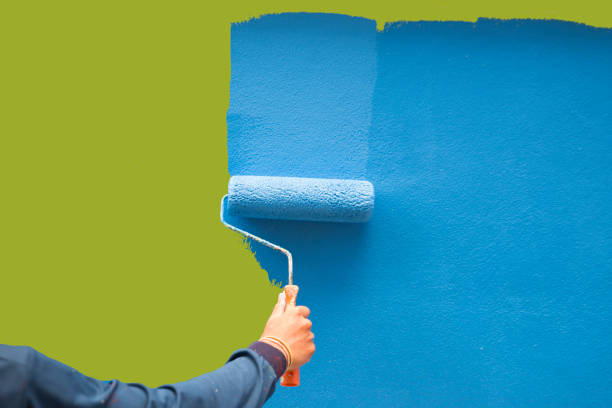 Professional Mold Removal in National City, CA